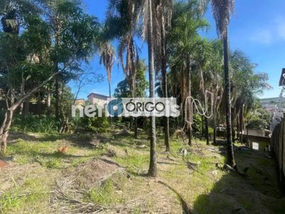 Terreno, 1000 m² - Foto 5