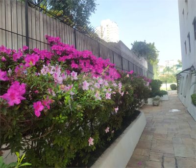 Apartamento, 3 quartos, 184 m² - Foto 5