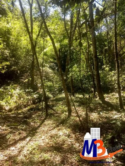 Terreno, 1125 m² - Foto 3