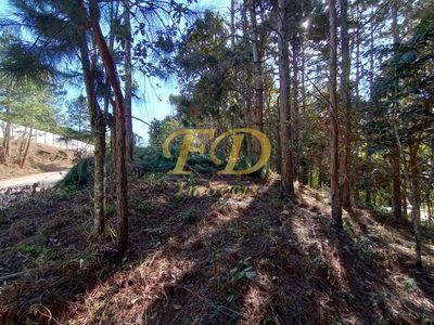 Terreno, 2410 m² - Foto 5