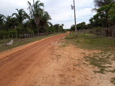 Sítio, 3 quartos, 3 hectares - Foto 4