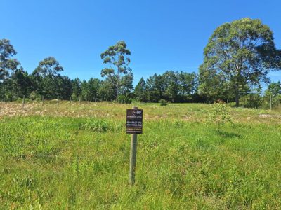 Sítio, 1 quarto, 2354 m² - Foto 1