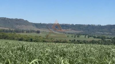 Fazenda, 44 hectares - Foto 3