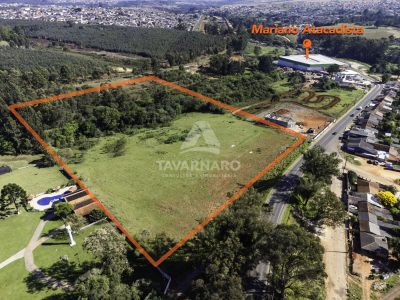 Terreno, 4 hectares - Foto 2