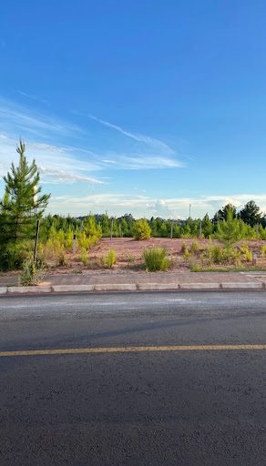 Terreno, 300 m² - Foto 3