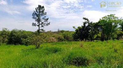 Chácara, 2 hectares - Foto 4