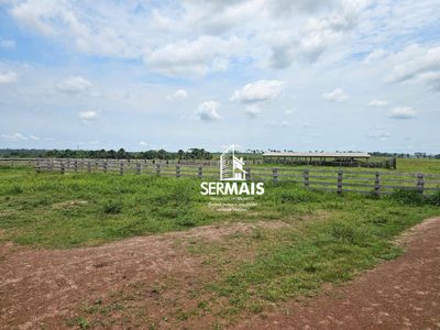 Fazenda, 6077 hectares - Foto 2