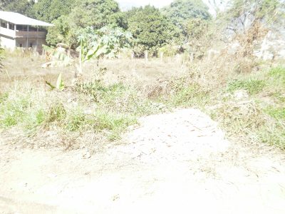 Terreno, 360 m² - Foto 1