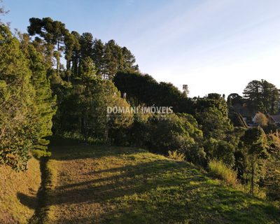 Terreno, 4300 m² - Foto 1