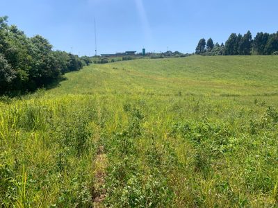 Terreno, 2 hectares - Foto 1