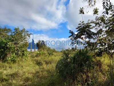 Terreno, 26 hectares - Foto 3