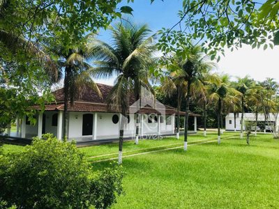 Sítio, 3 quartos, 10 hectares - Foto 4