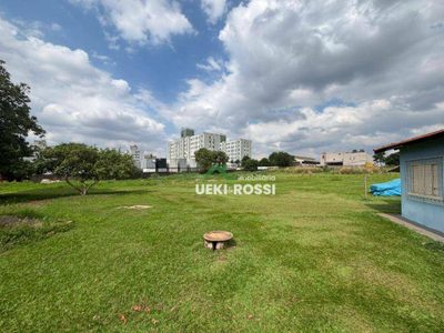 Terreno, 6000 m² - Foto 4