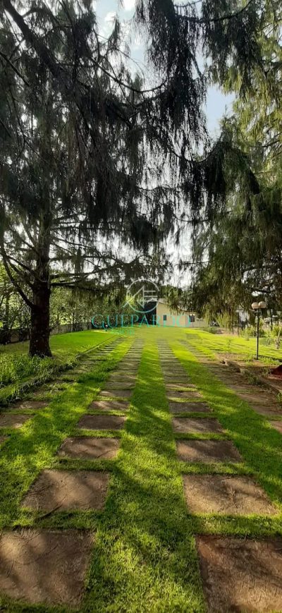 Chácara, 2 quartos, 5000 m² - Foto 3