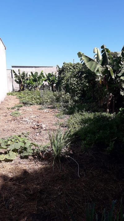 Terreno, 300 m² - Foto 2