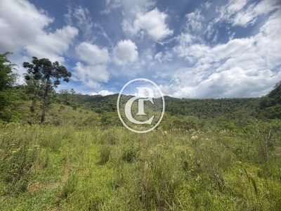 Terreno, 34 hectares - Foto 4