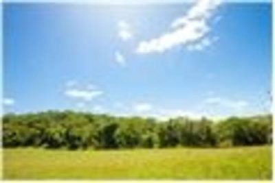 Terreno, 2 hectares - Foto 1