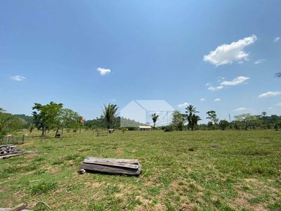 Fazenda, 242 hectares - Foto 2