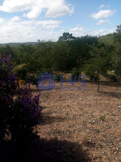 Chácara, 4 quartos, 5 hectares - Foto 3
