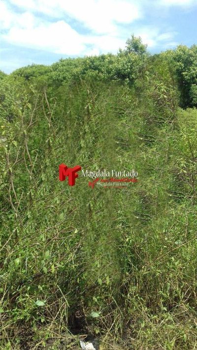 Terreno, 200 m² - Foto 1