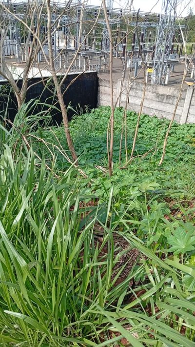 Terreno, 360 m² - Foto 4