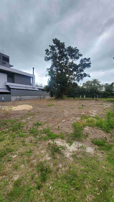 Terreno, 701 m² - Foto 2