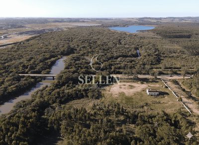 Terreno, 3 hectares - Foto 5