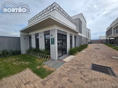 Casa, 4 quartos, 140 m² - Foto 3