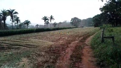 Chácara, 2 hectares - Foto 2