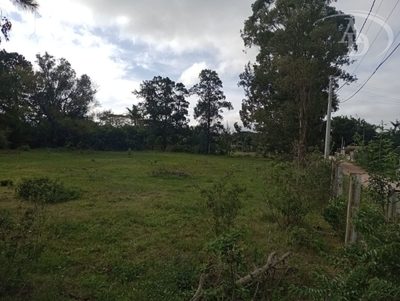 Terreno, 2280 m² - Foto 4