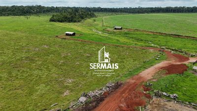 Fazenda, 530 hectares - Foto 5