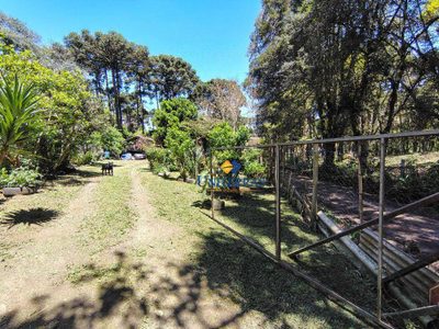 Chácara, 3 quartos, 1200 m² - Foto 3