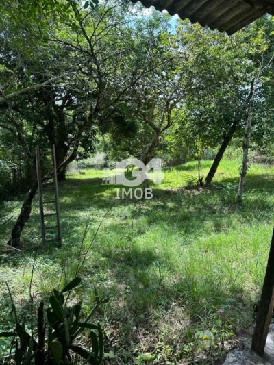 Terreno, 2500 m² - Foto 5