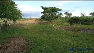 Terreno, 1620 m² - Foto 2