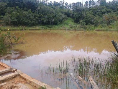 Chácara, 1 quarto, 19 hectares - Foto 3