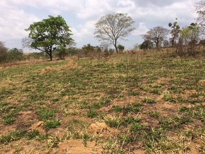 Terreno, 914 m² - Foto 1