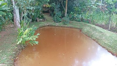 Chácara, 3 quartos, 300 m² - Foto 3