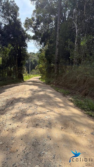 Terreno, 3 hectares - Foto 4