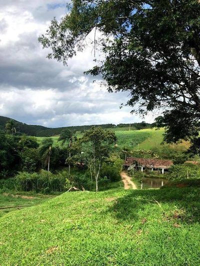 Terreno, 218 hectares - Foto 1