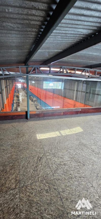 Depósito-Galpão, 1500 m² - Foto 3