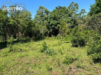 Terreno, 2 hectares - Foto 4