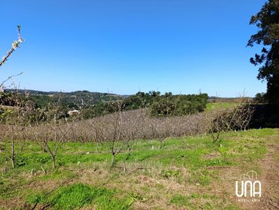 Chácara, 2 hectares - Foto 3