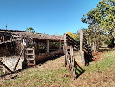 Chácara, 2 quartos, 7500 m² - Foto 1