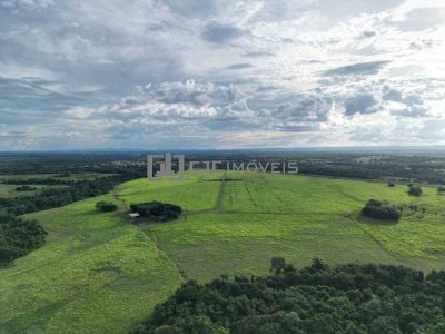Sítio, 2 quartos, 120 m² - Foto 4