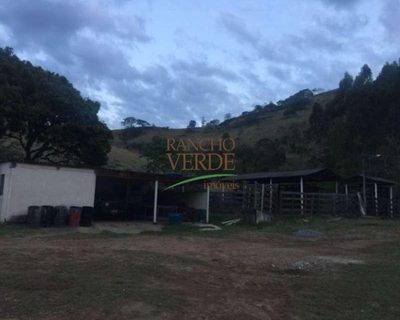 Fazenda, 98 hectares - Foto 4