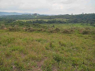 Sítio, 45 hectares - Foto 3