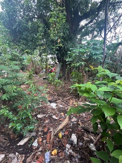 Terreno, 720 m² - Foto 2