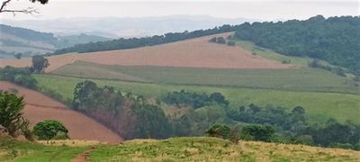 Fazenda, 339 hectares - Foto 4