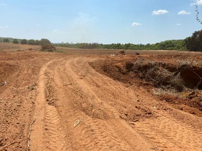 Fazenda, 3000 hectares - Foto 4