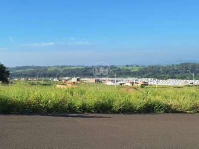 Terreno, 250 m² - Foto 5